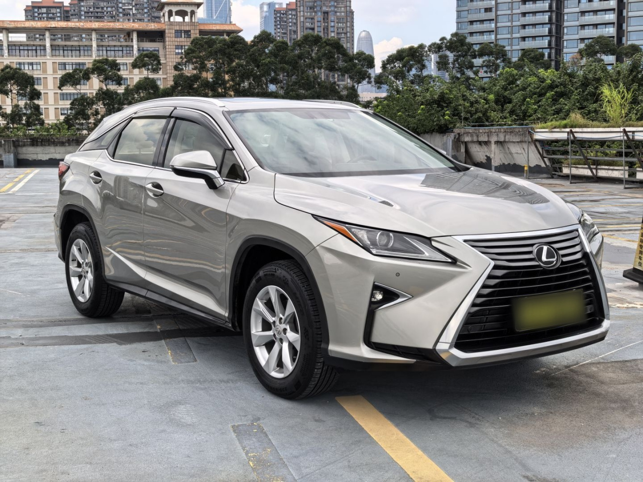 RX 2016 300 RWD Elite China V photo 4
