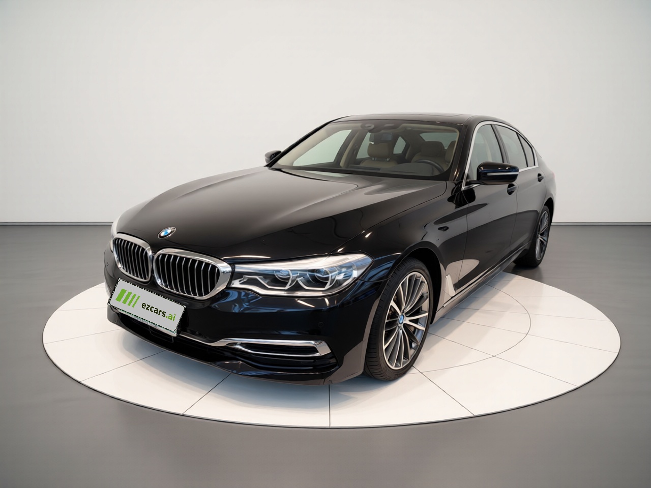5 Series 2019 Facelift 530Li Exclusive Luxury