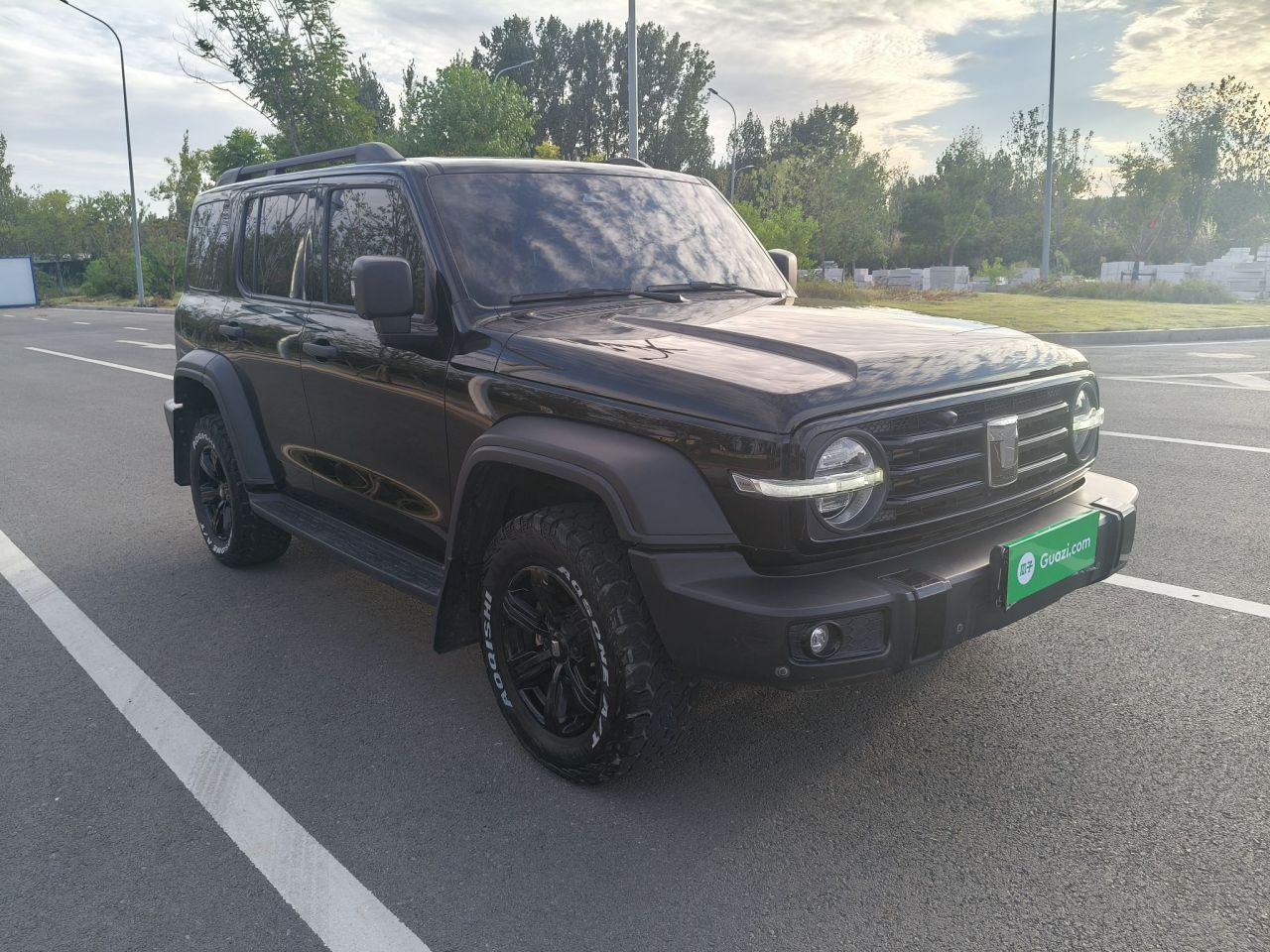 300 2023 Off-road 2.0T Conqueror photo 3