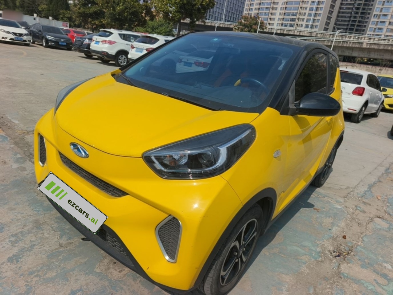 QQ Little Ant 2021 15 LFP