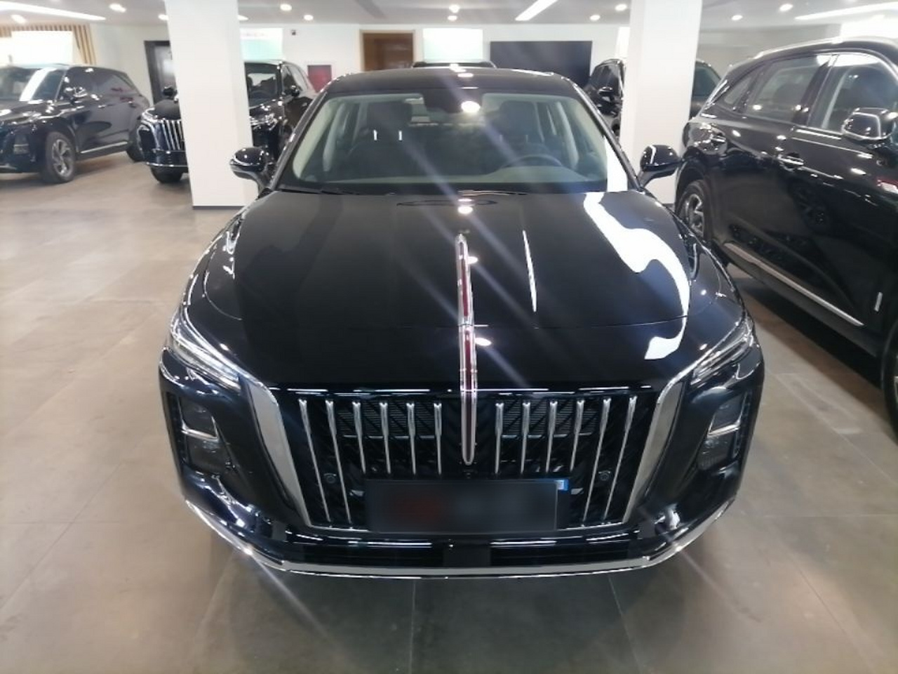 H5 PHEV 2025 130 photo 2