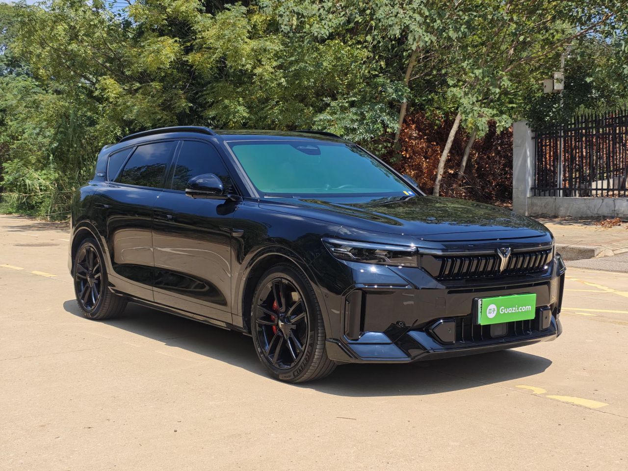 Voyah FREE 2025 318 259km AWD Explorer photo 3