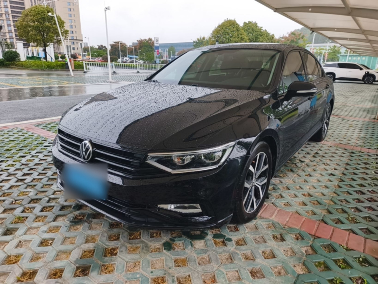 Magotan 2020 330TSI DSG Leading