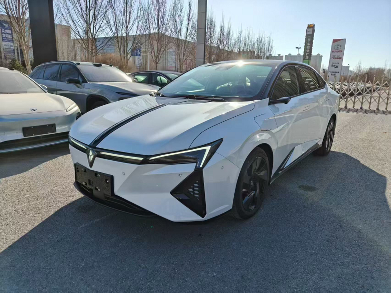 L 2025 +