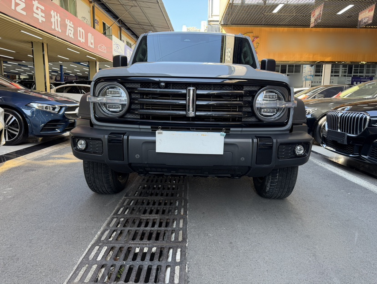 300 2021 Off-road 2.0T photo 2