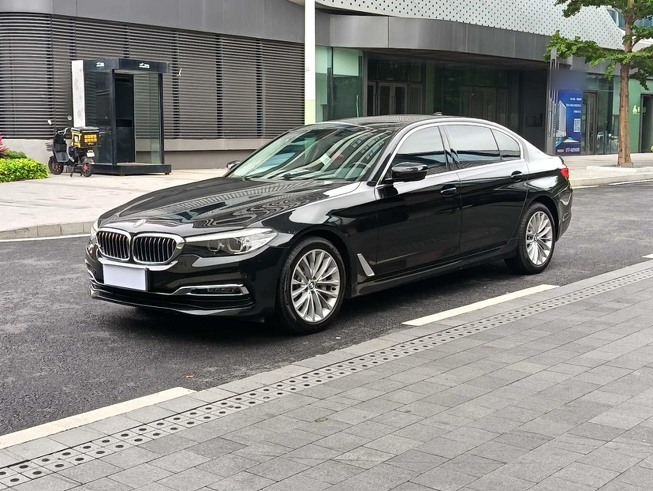 5 Series 2019 530Li Leading Luxury