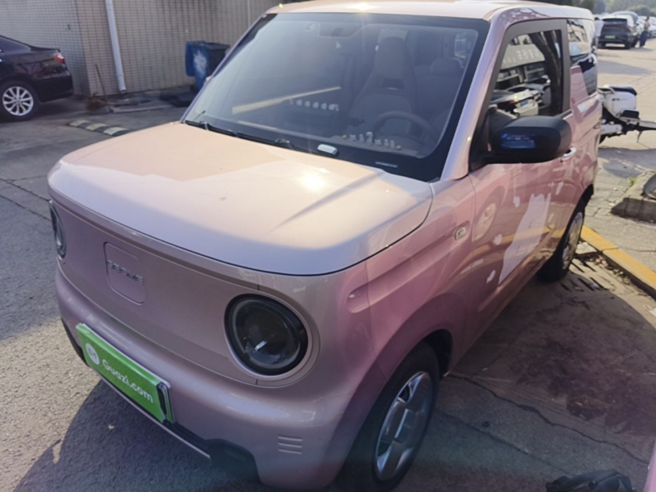2023 Panda mini 200km Endurance Bear