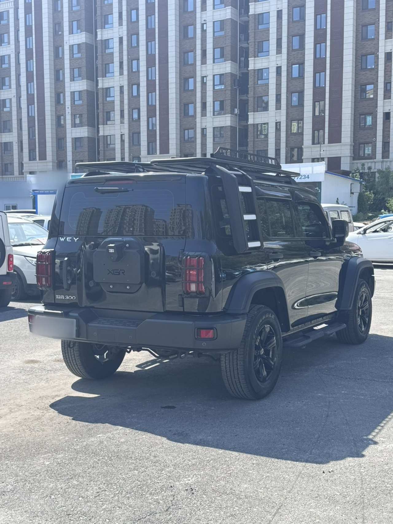 300 2021 Off-road 2.0T Conqueror photo 4