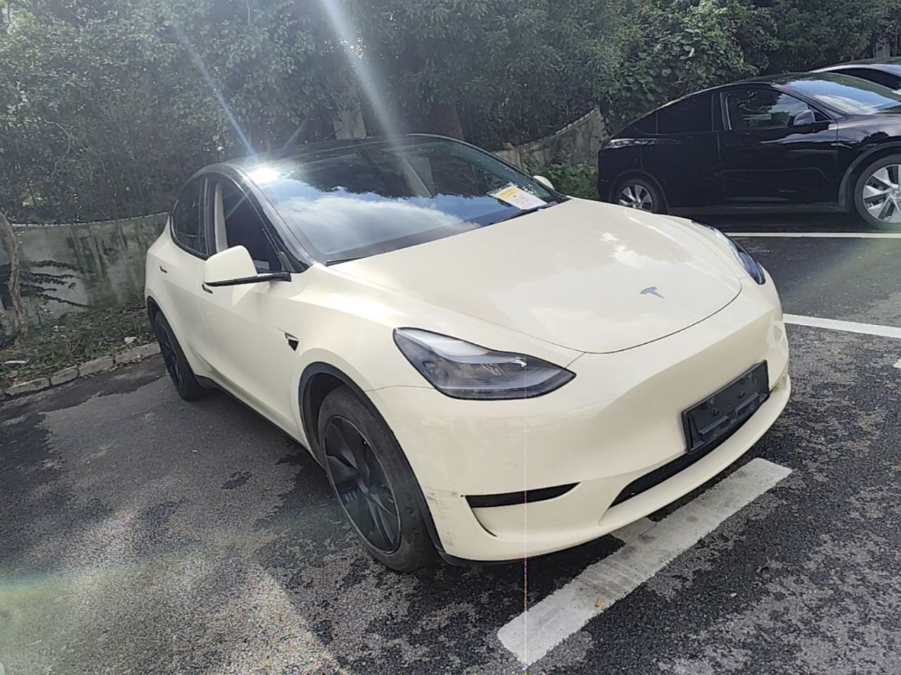 Model Y 2023 RWD photo 5