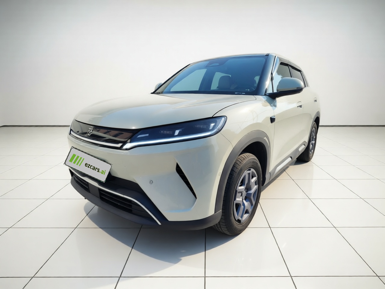 Yuan UP 2025 ADAS 401KM