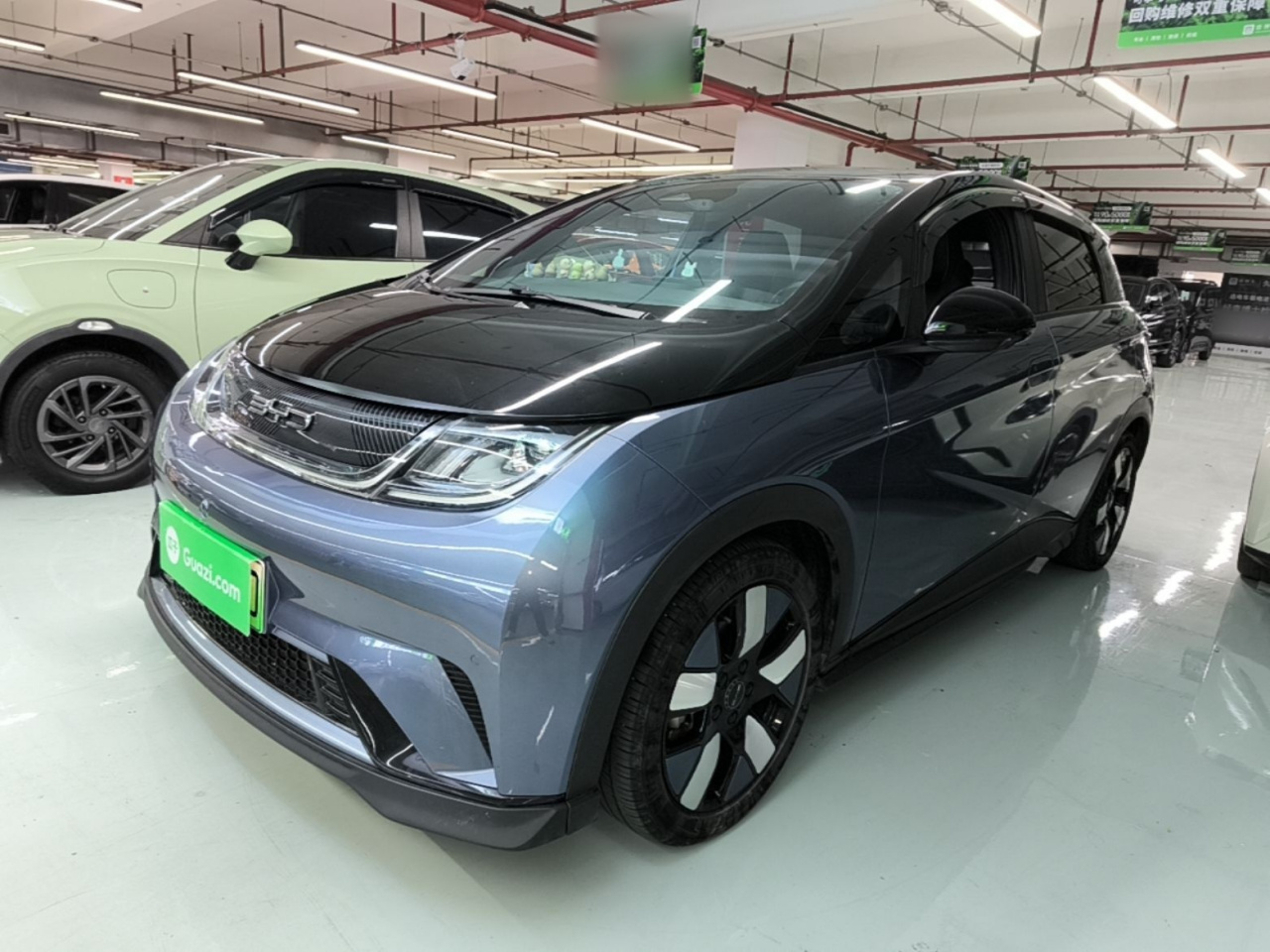 Dolphin 2023 401km