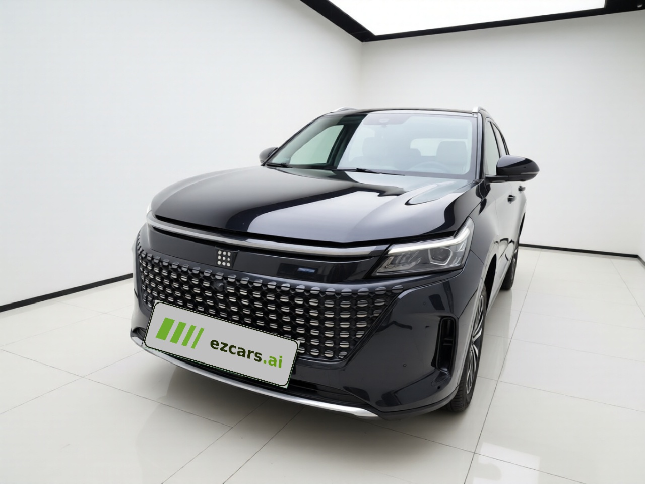 Bluelectric E5 2024 Honor 100KM 7-Seater