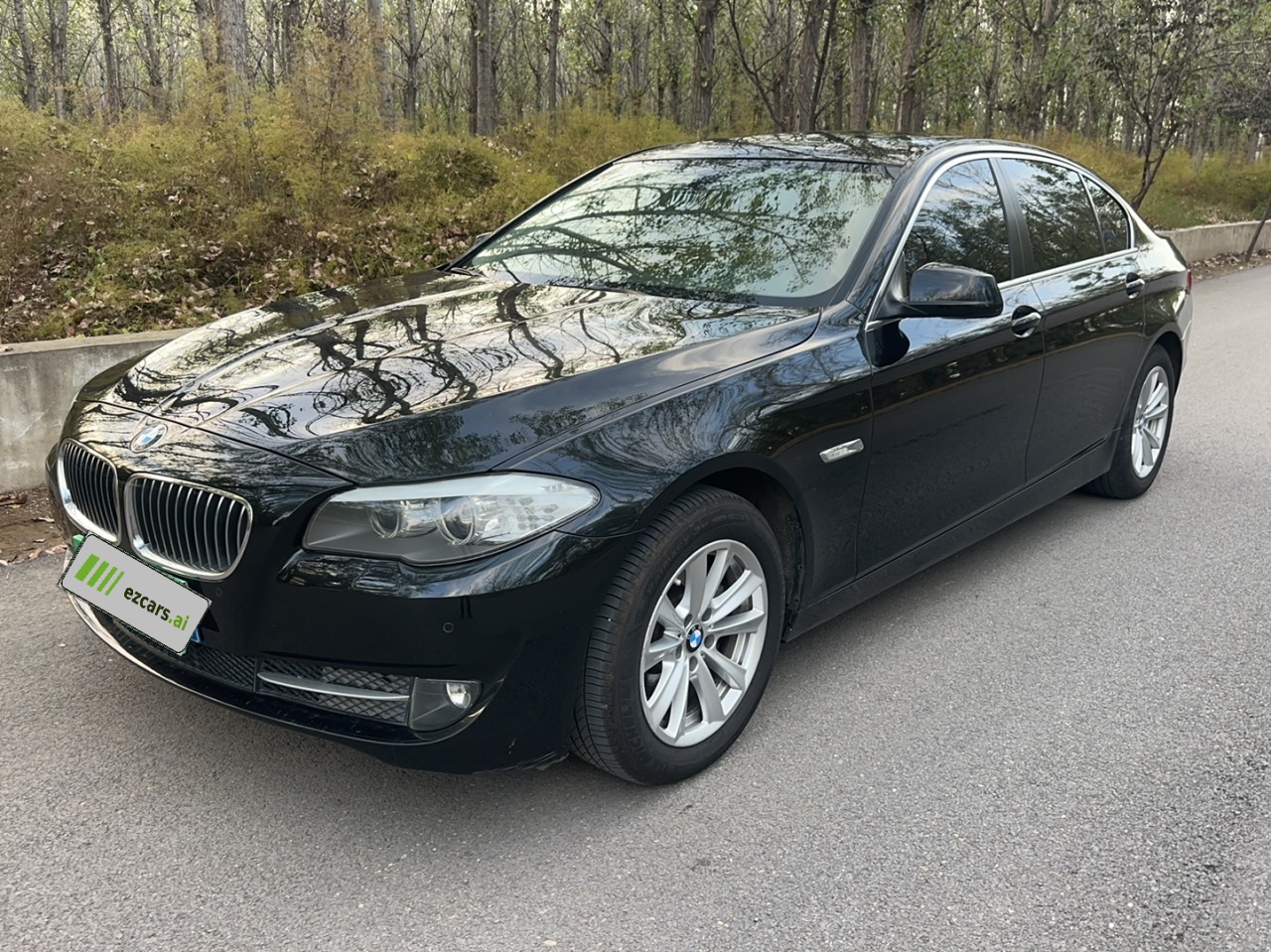 5 Series 2013 525Li Leading