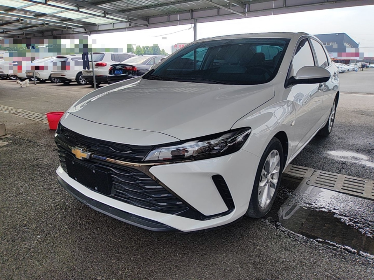 Cruze 2024 1.5L DCT Enjoy