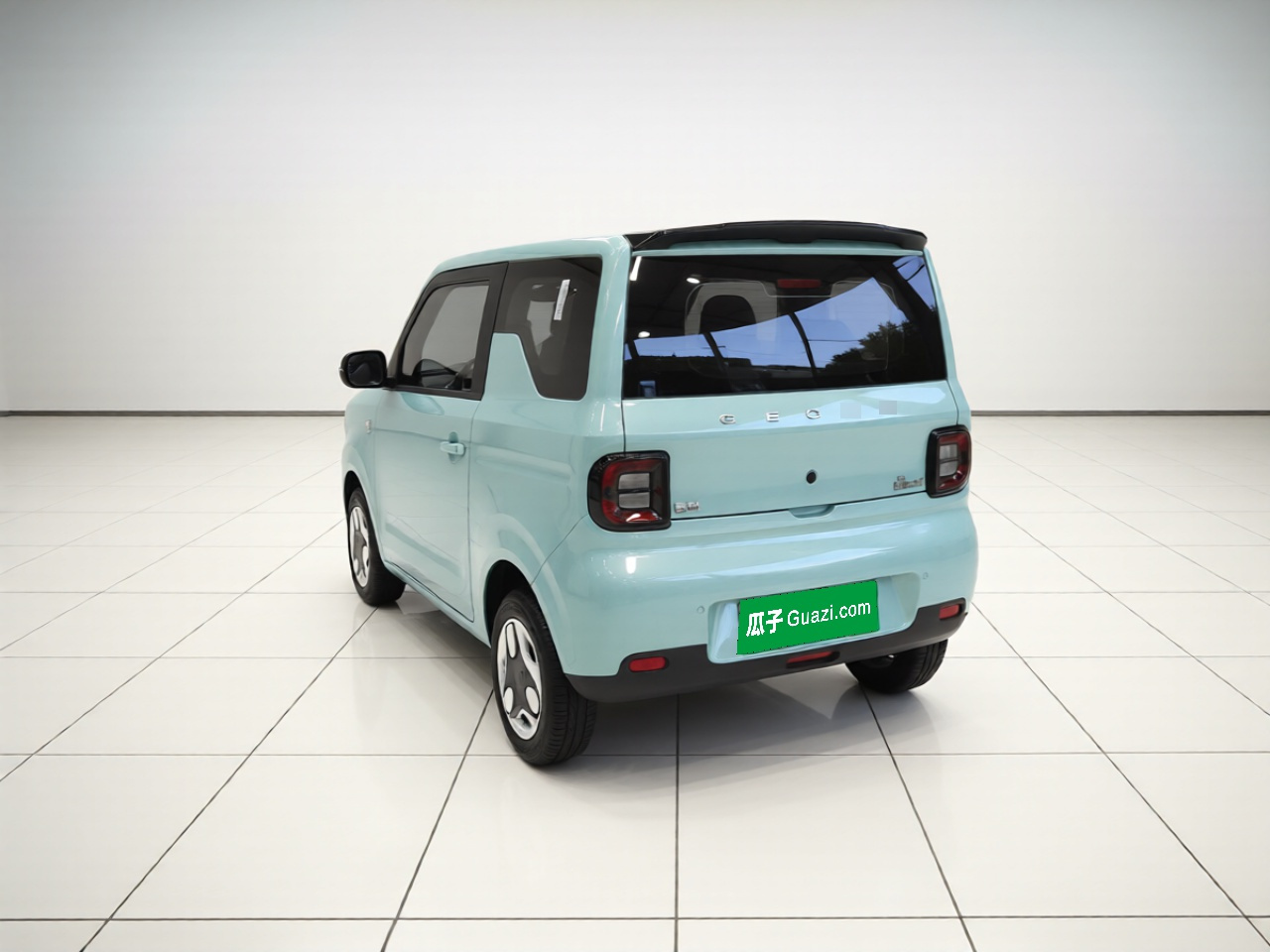 2025 210km Panda photo 4