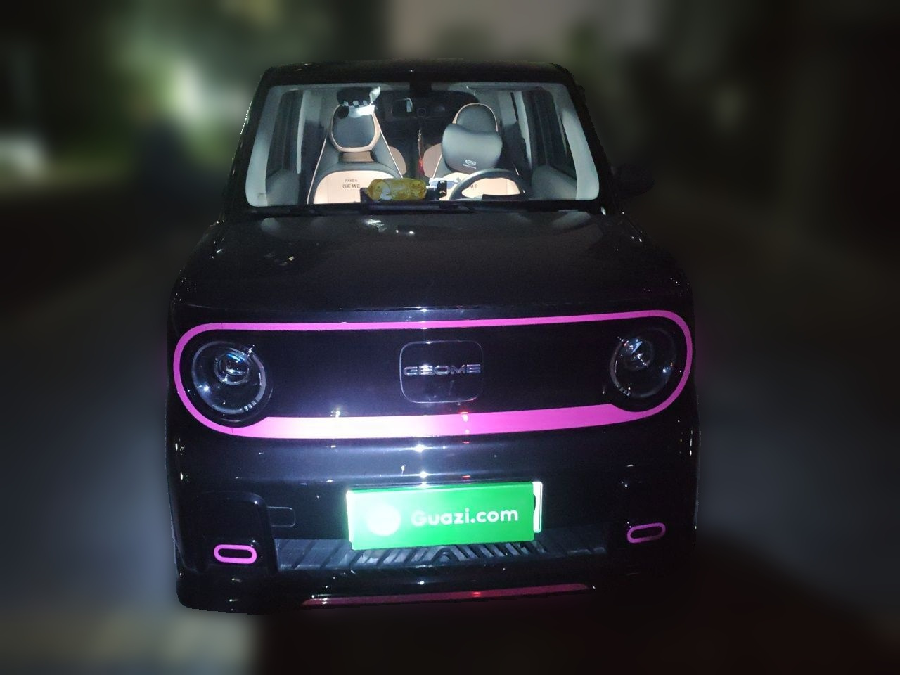 2025 210km Panda photo 2