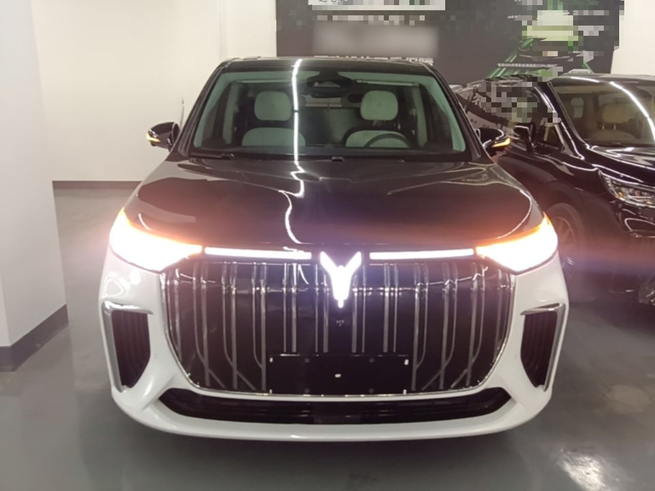 Voyah Dreamer 2022 0 Long Range 605km photo 2
