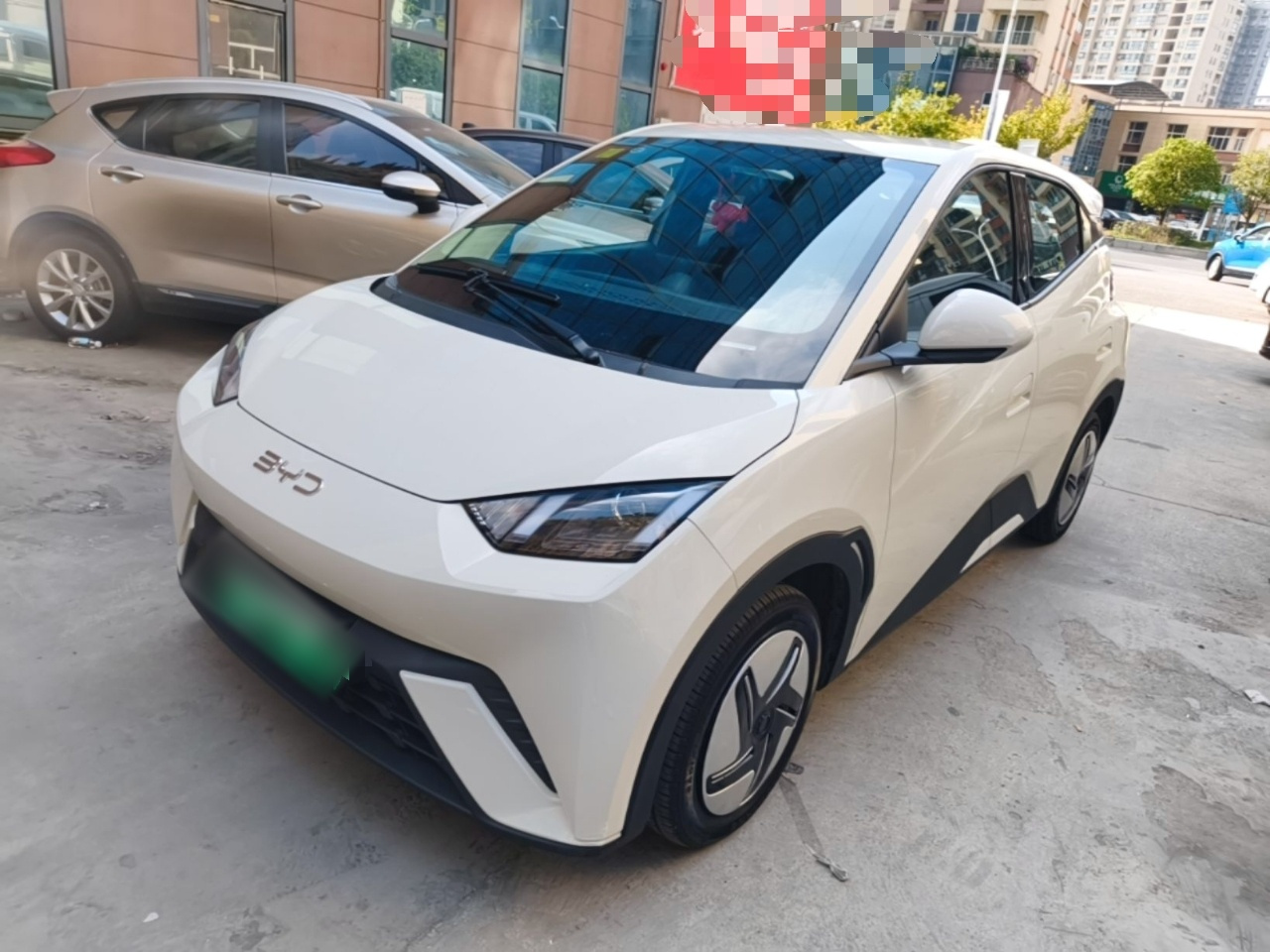 Seagull 2025 305km