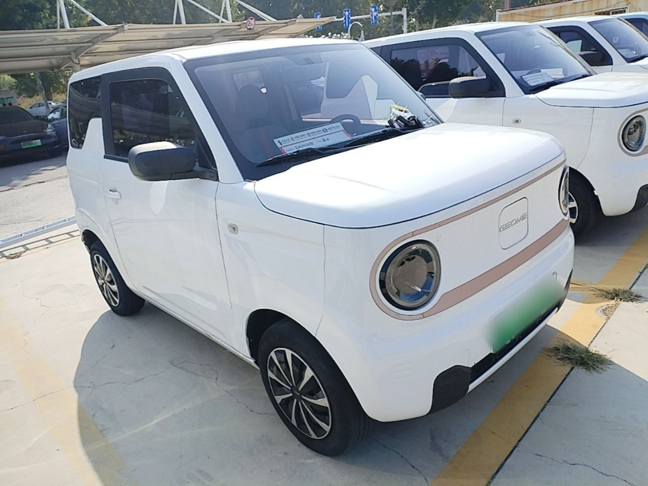 2023 Panda mini 200km Endurance Bear photo 3