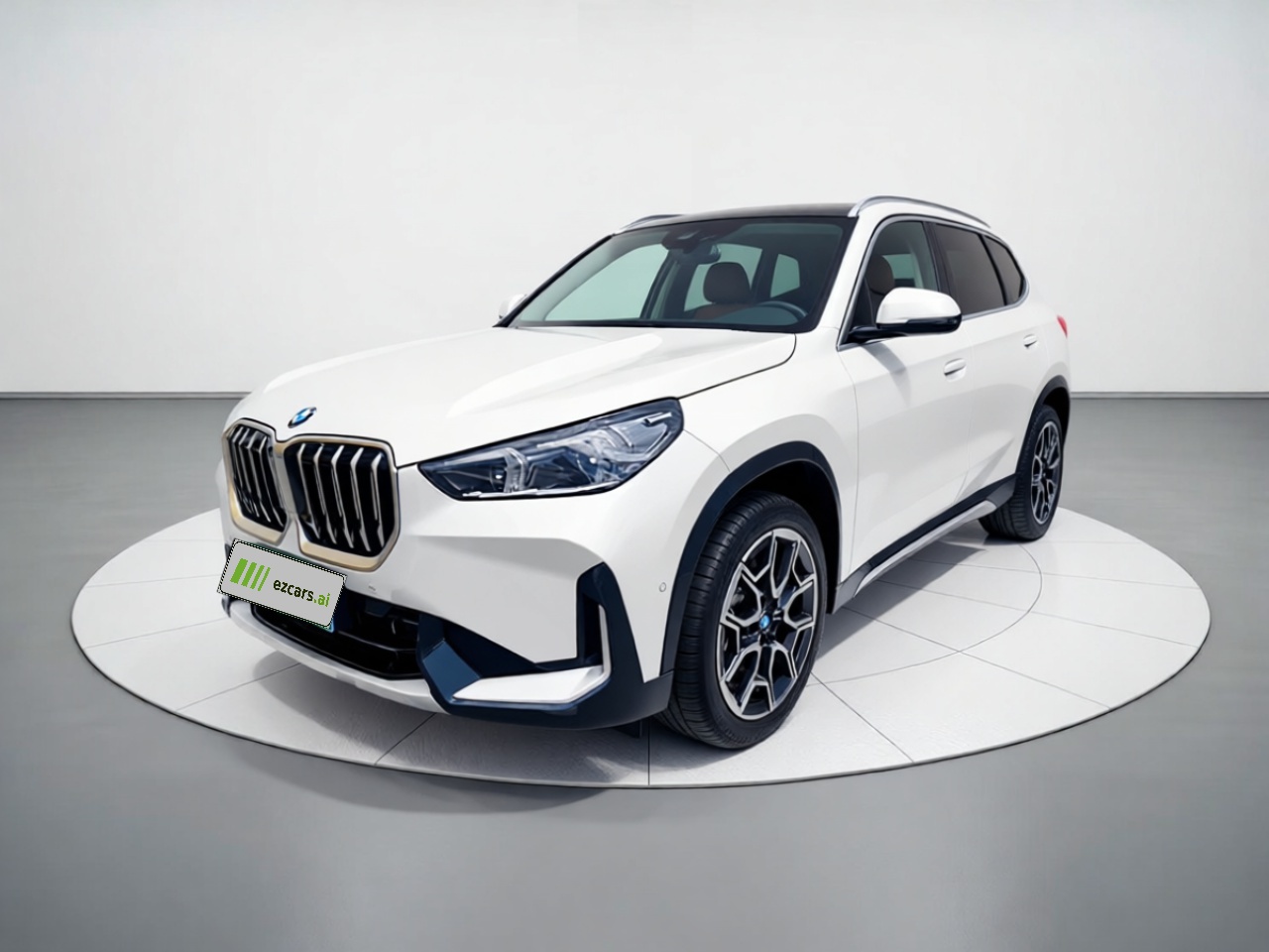 X1 2025 sDrive25Li X Design Package