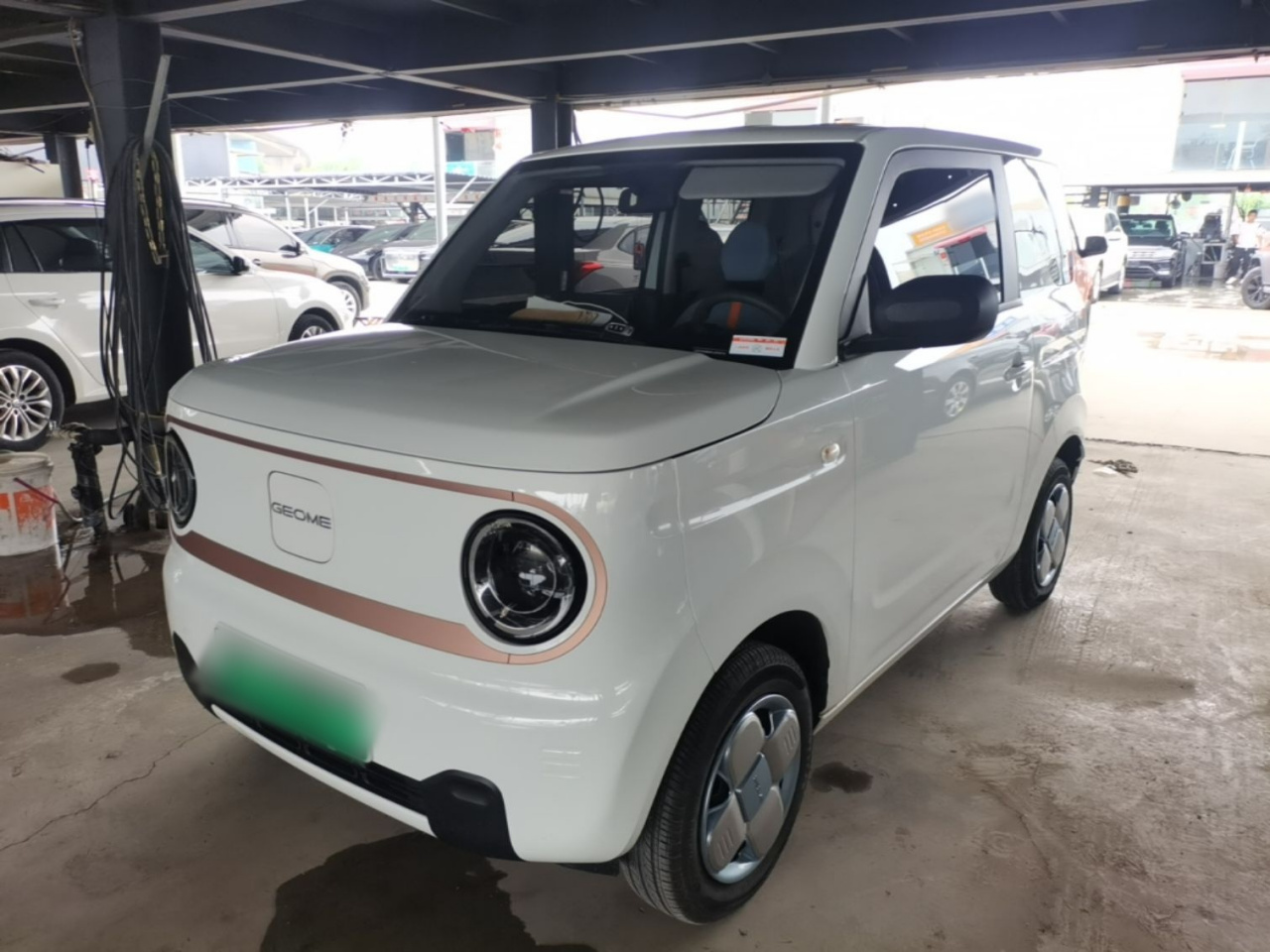 2024 Panda mini 200km Endurance Bear