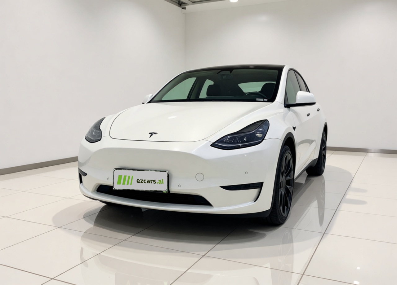 Model Y 2021 Long Range AWD