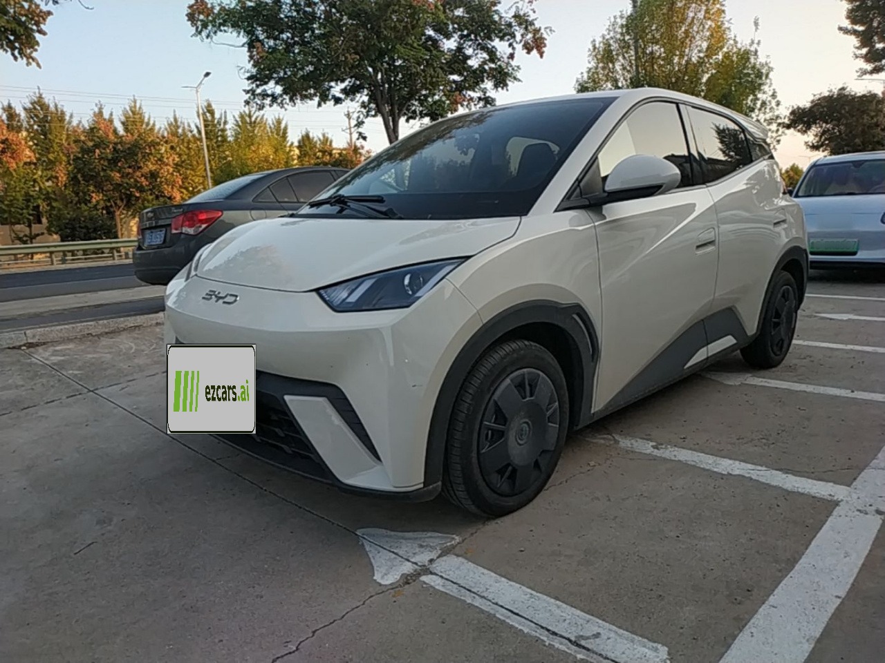 Seagull 2025 305km