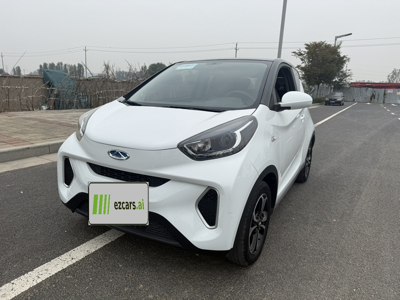 QQ Little Ant 2021 15 LFP