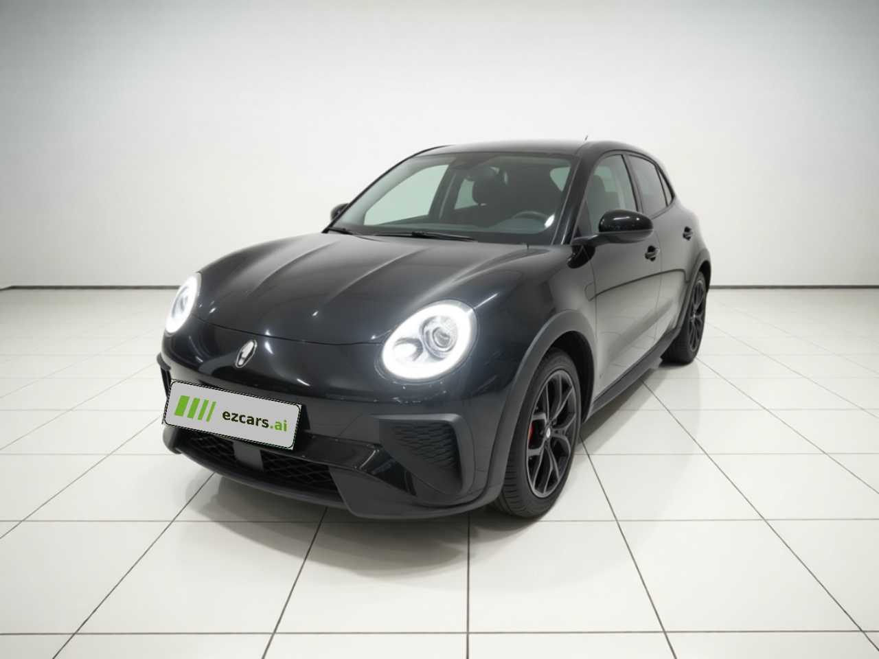 Good Cat GT 2022 401km Standard Range