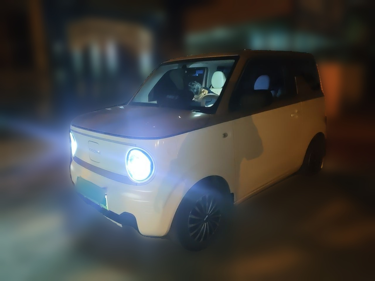 2023 Panda mini 200km Endurance Bear