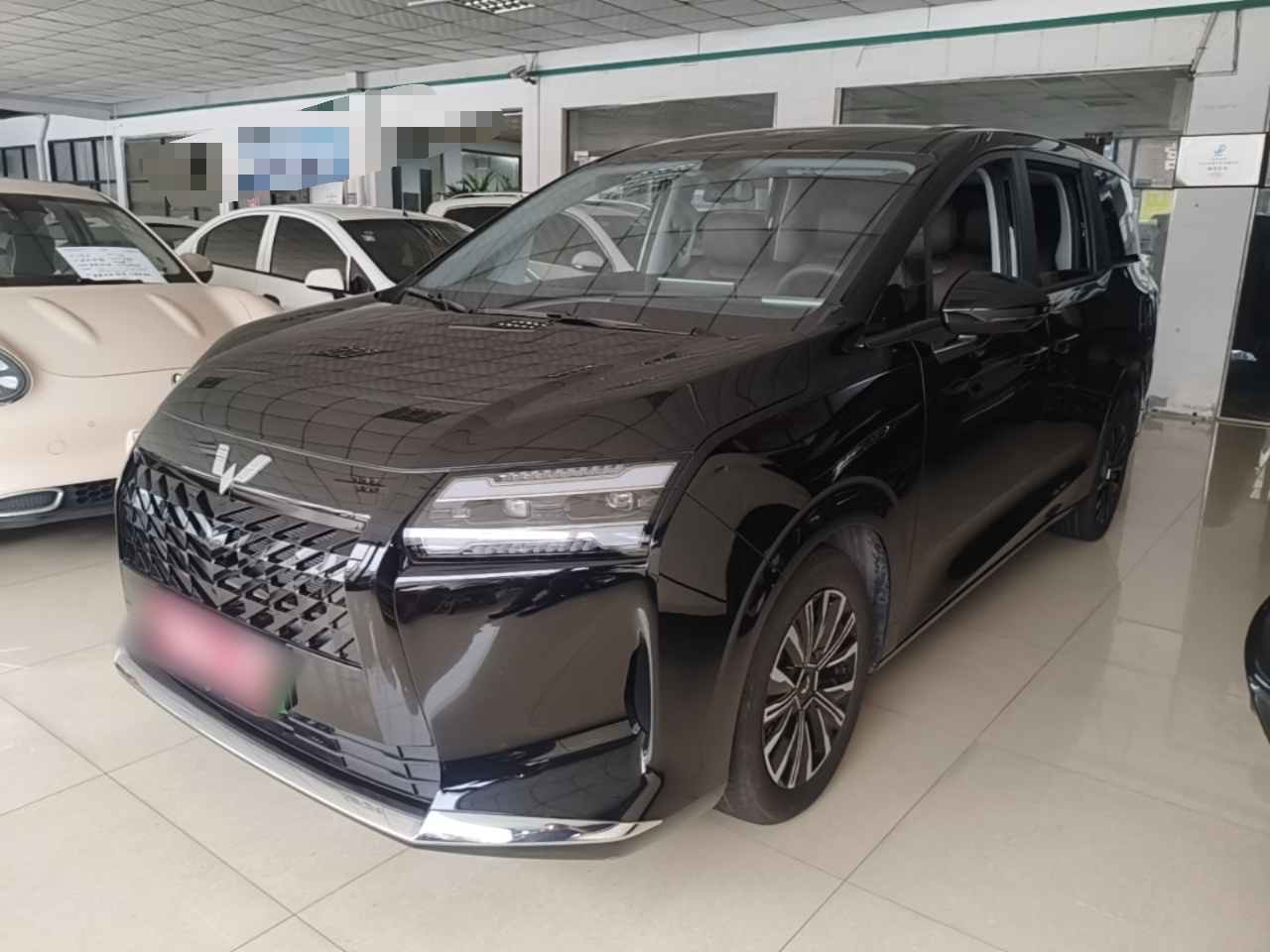 730 EV 2025 125km Luxury