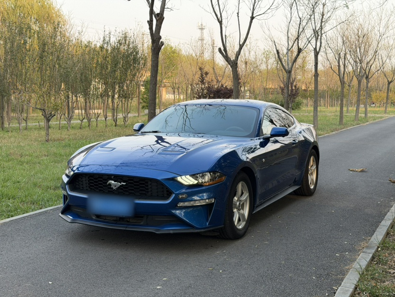 Mustang 2017 2.3T Sport