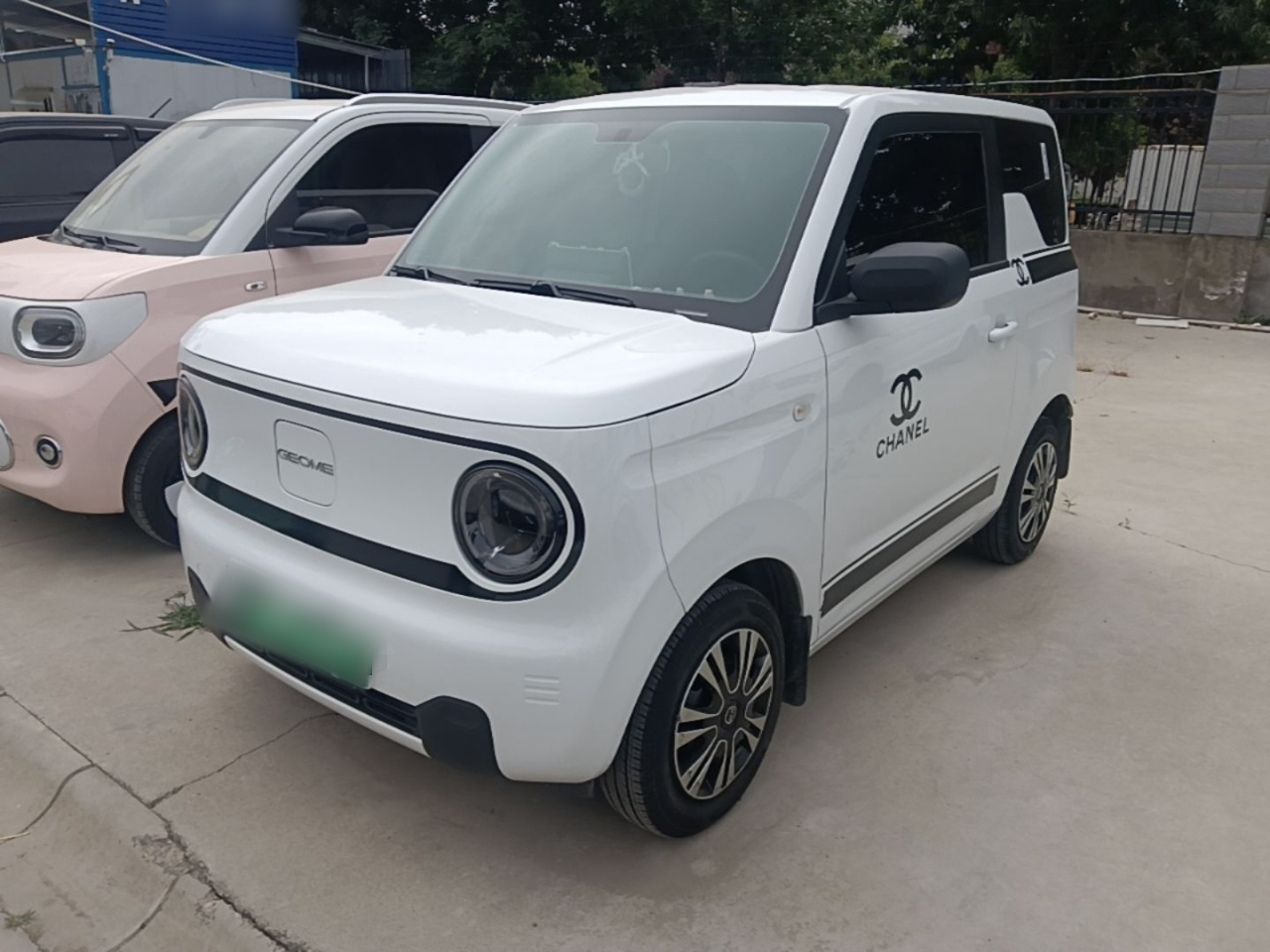 2024 Panda mini 200km Endurance Bear