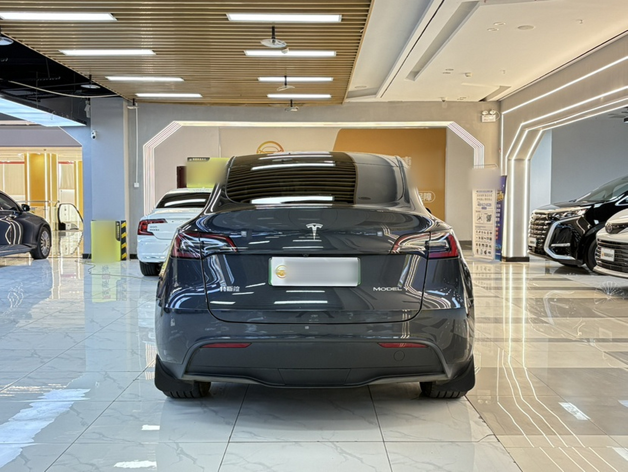 Model Y 2024 RWD photo 3