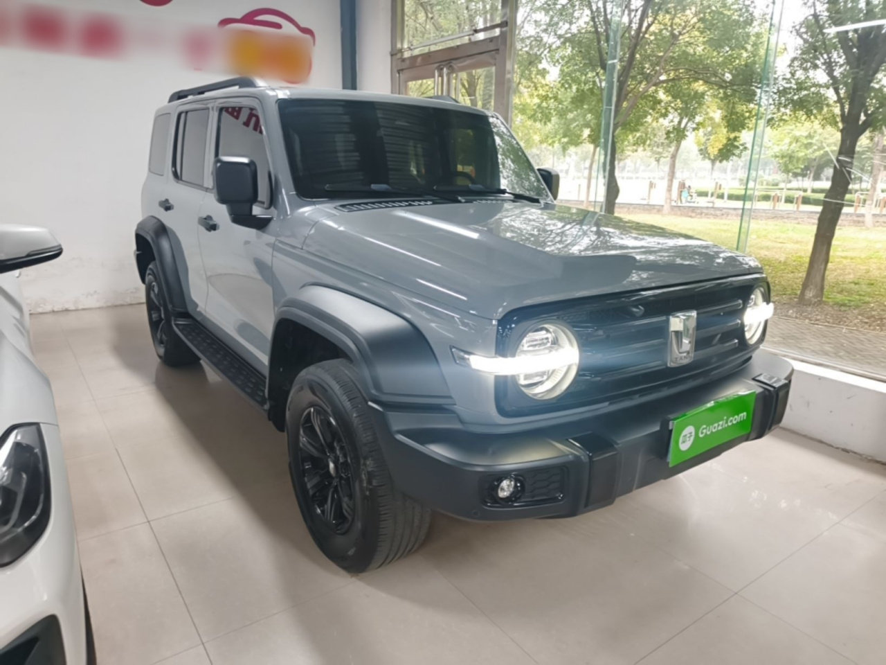 300 2021 Off-road 2.0T Conqueror photo 5