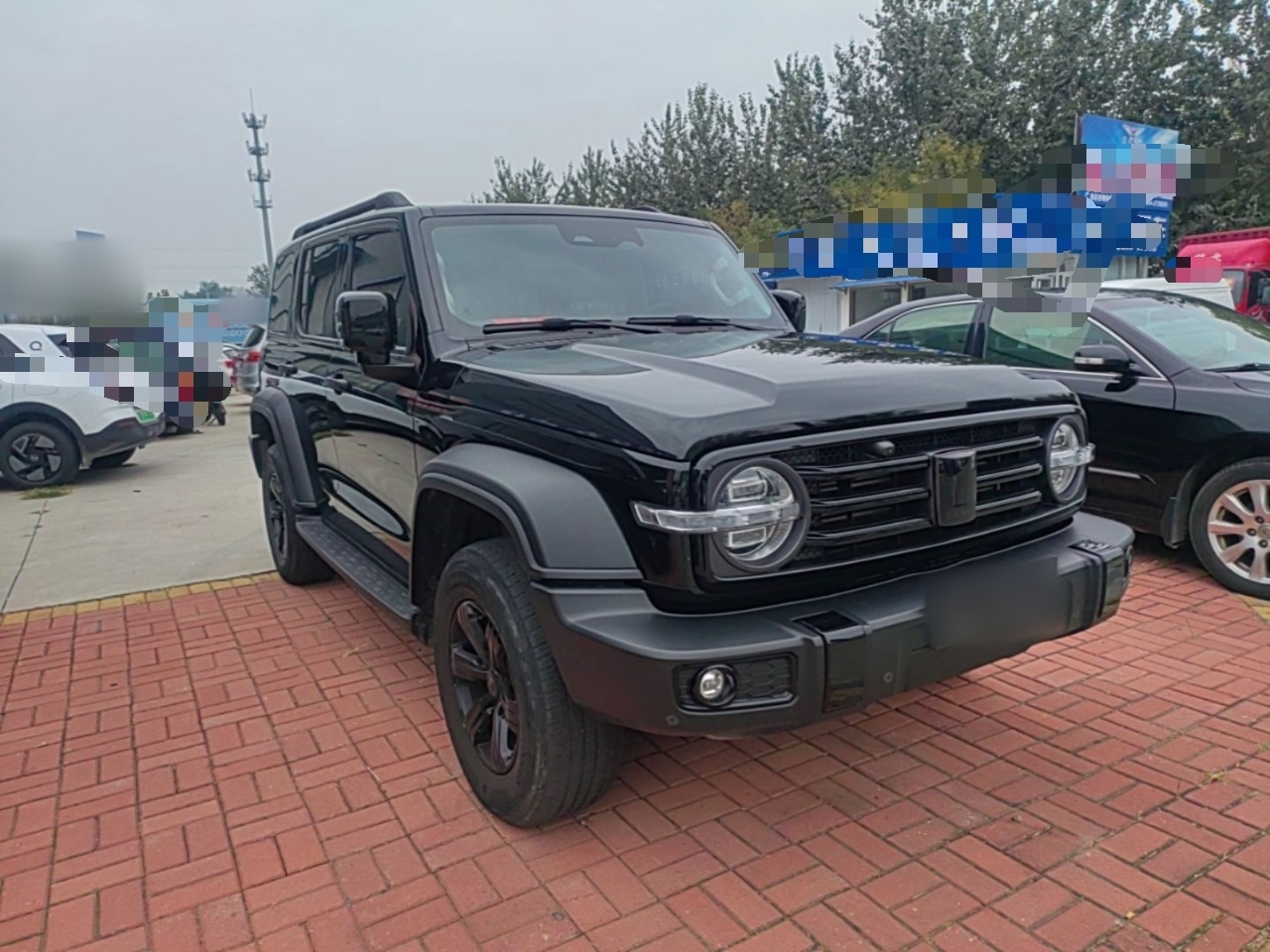300 2021 Off-road 2.0T Conqueror photo 3
