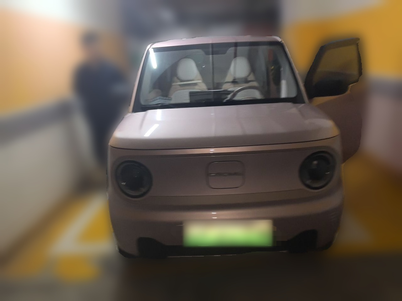 2023 Panda mini 200km Endurance Bear photo 2
