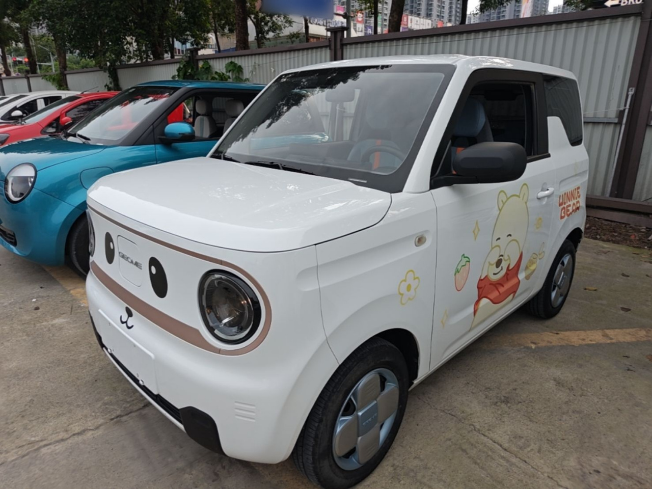 2023 Panda mini 200km Endurance Bear