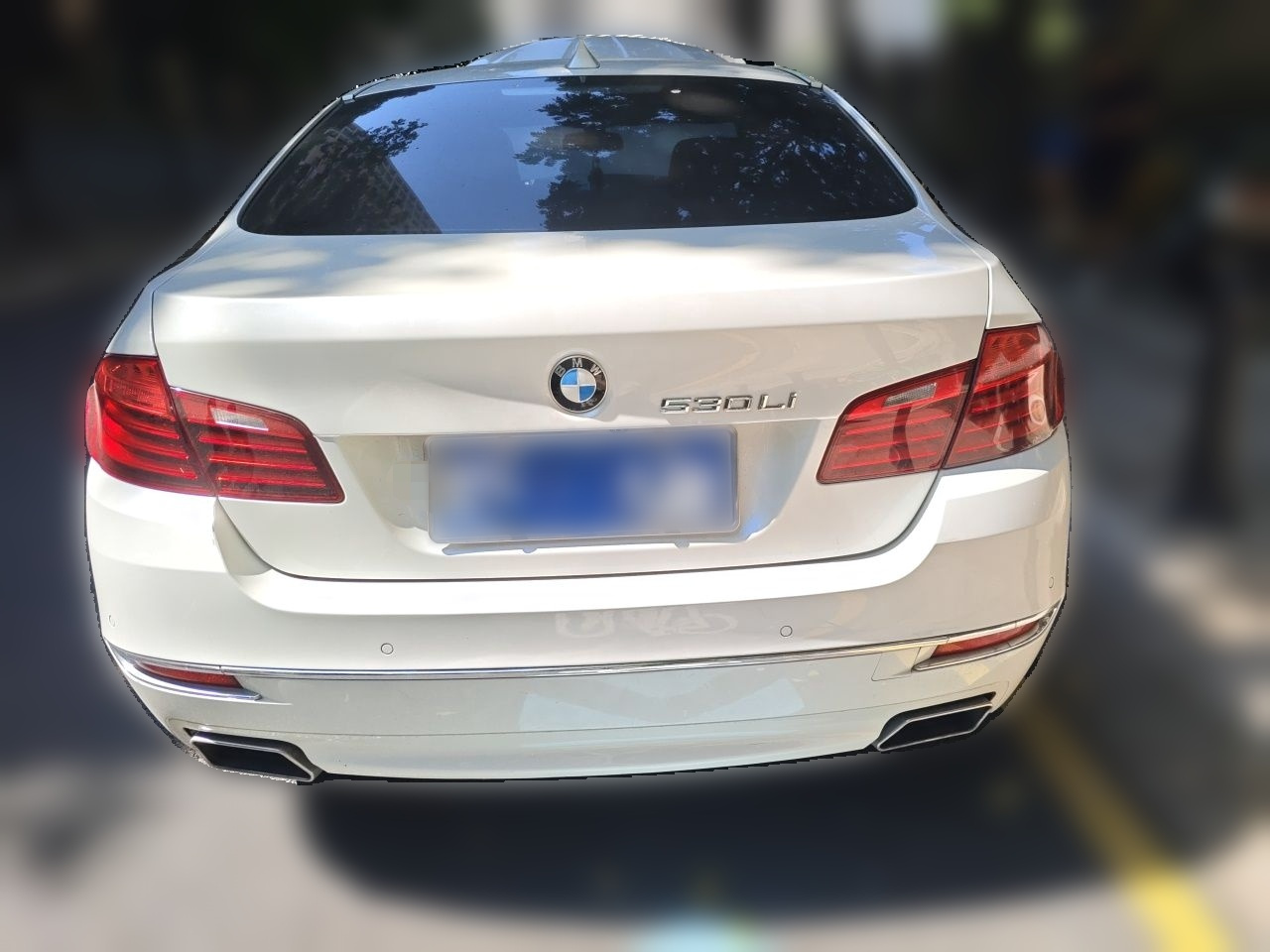 5 Series 2014 525Li Luxury Design Package photo 5