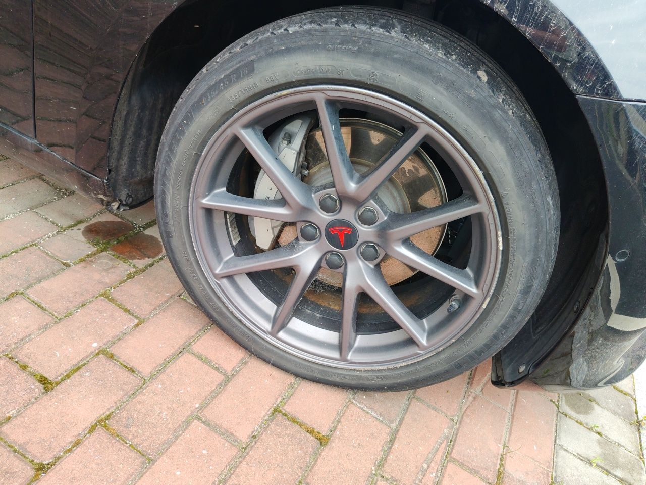Model 3 2022 RWD photo 2