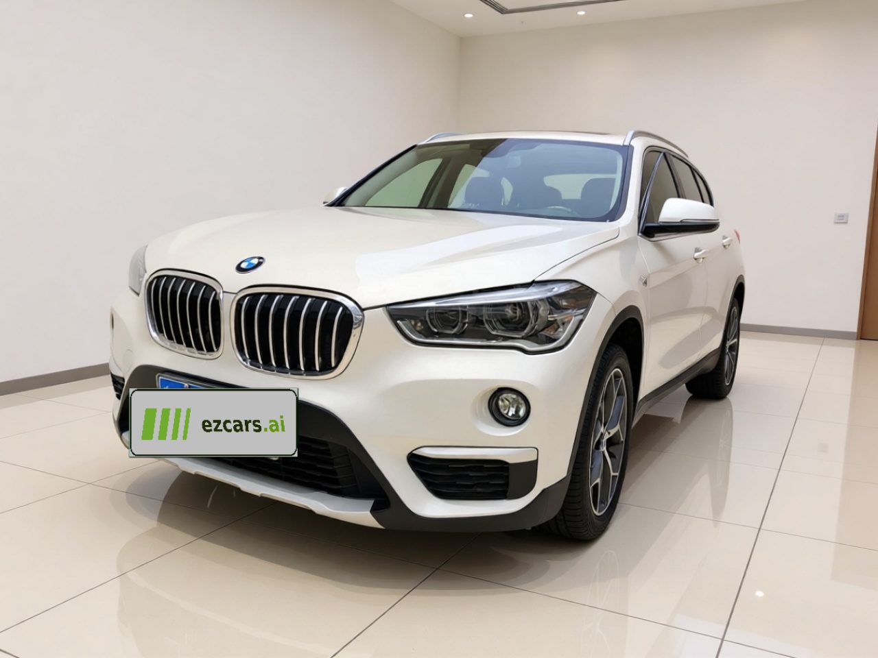 X1 2019 xDrive20Li Exclusive
