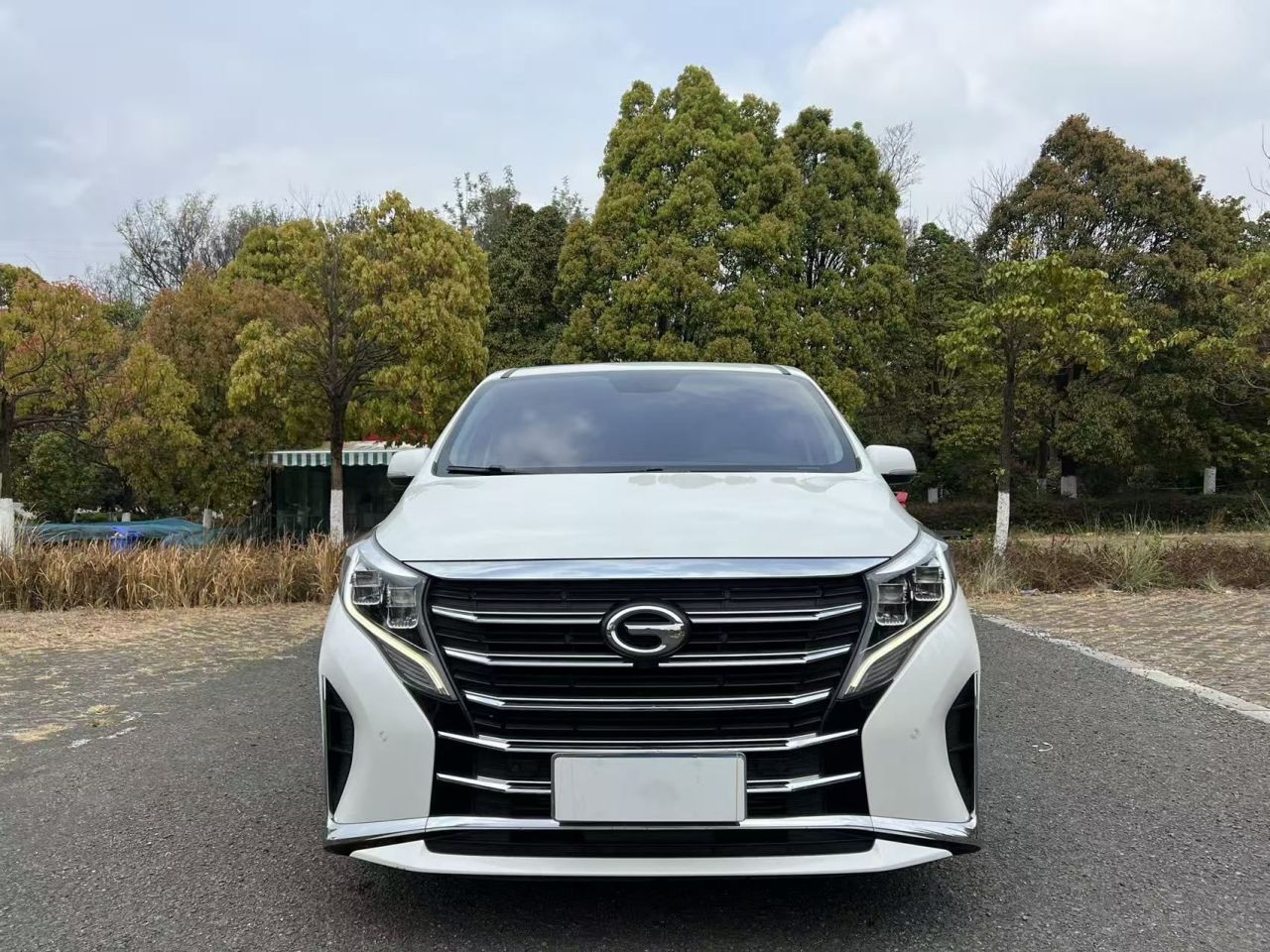 GAC Trumpchi M8 2021 Leading Series 390T Premium photo 2