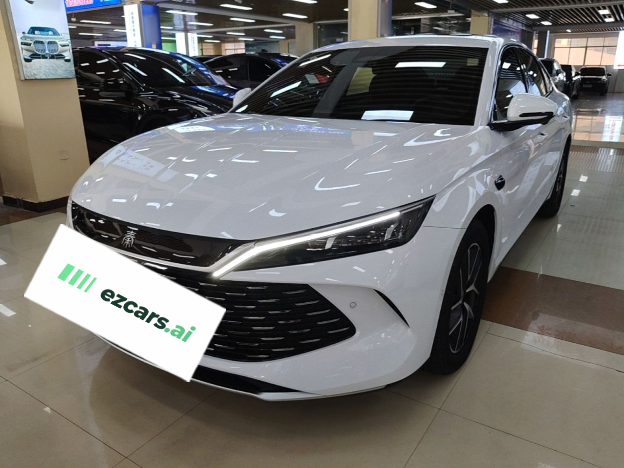 Qin L 2025 DM-i ADAS 120KM