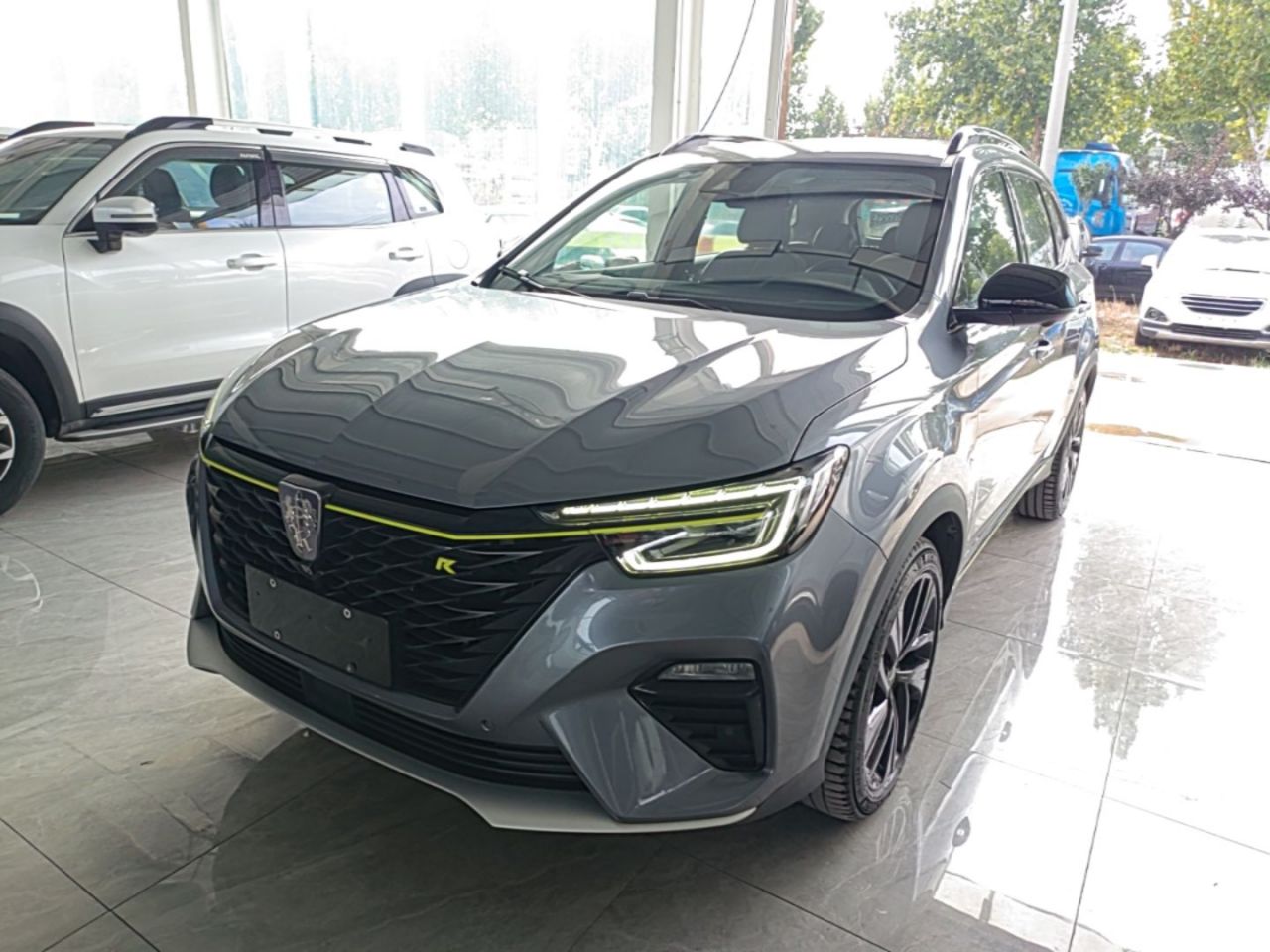 RX5 EV 2020 ePLUS Flagship