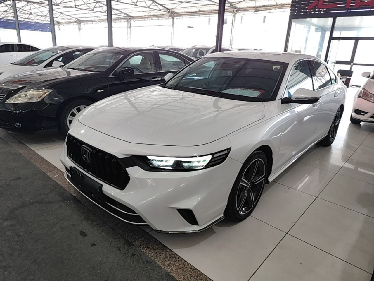 2024 260TURBO Elite