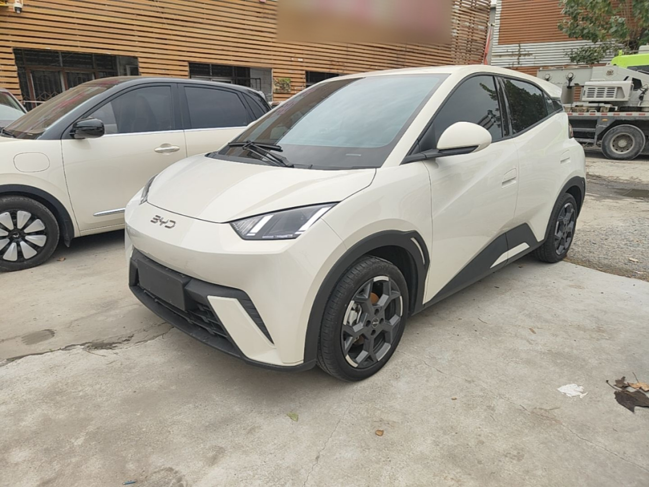 Seagull 2025 305km