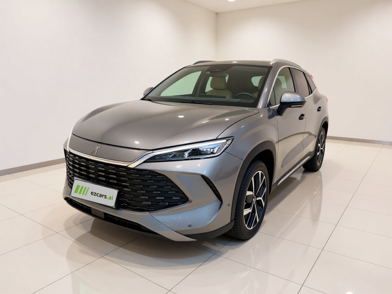 Song L DM-i 2024 160km Excellence