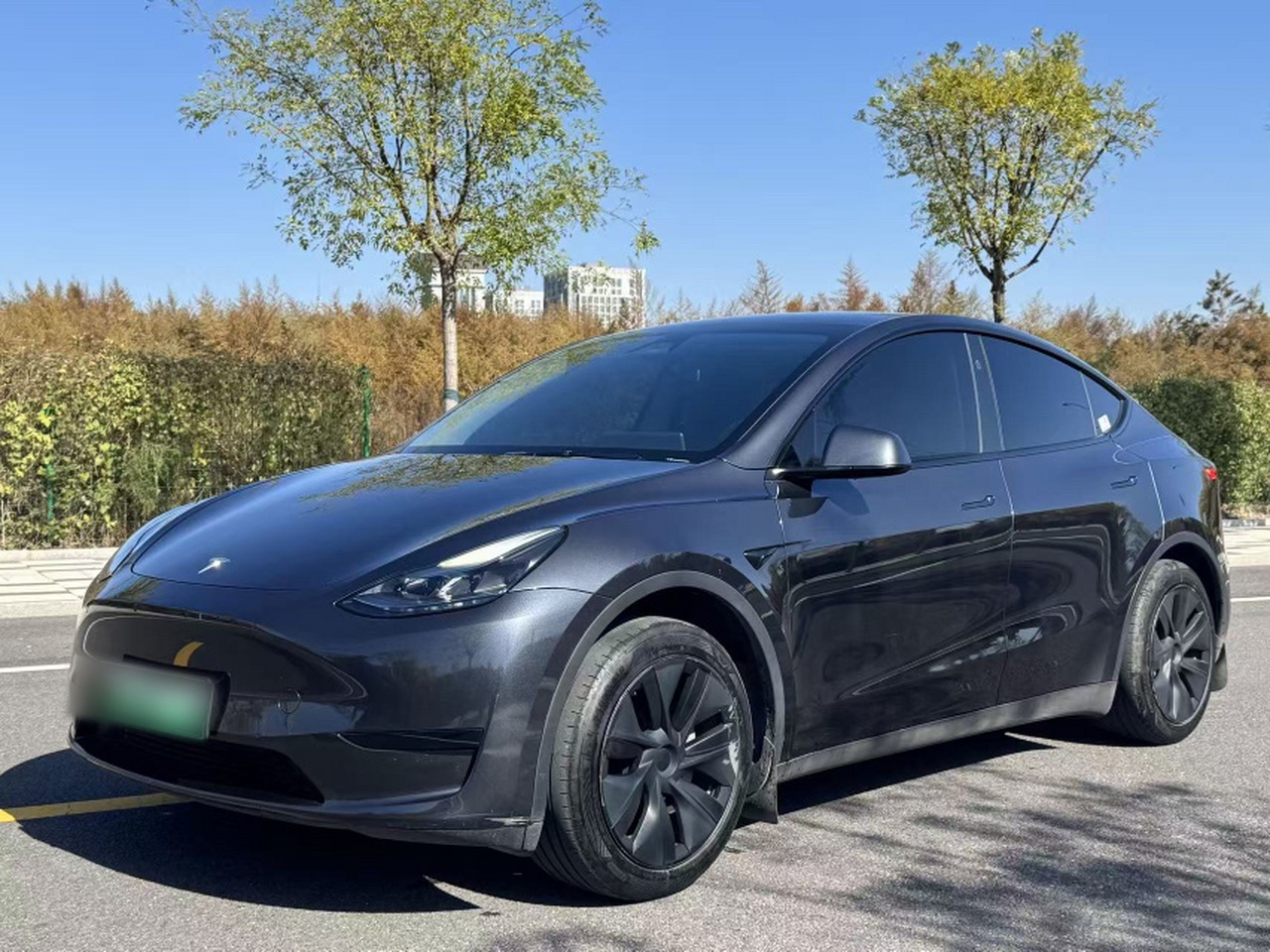 Model Y 2024 RWD