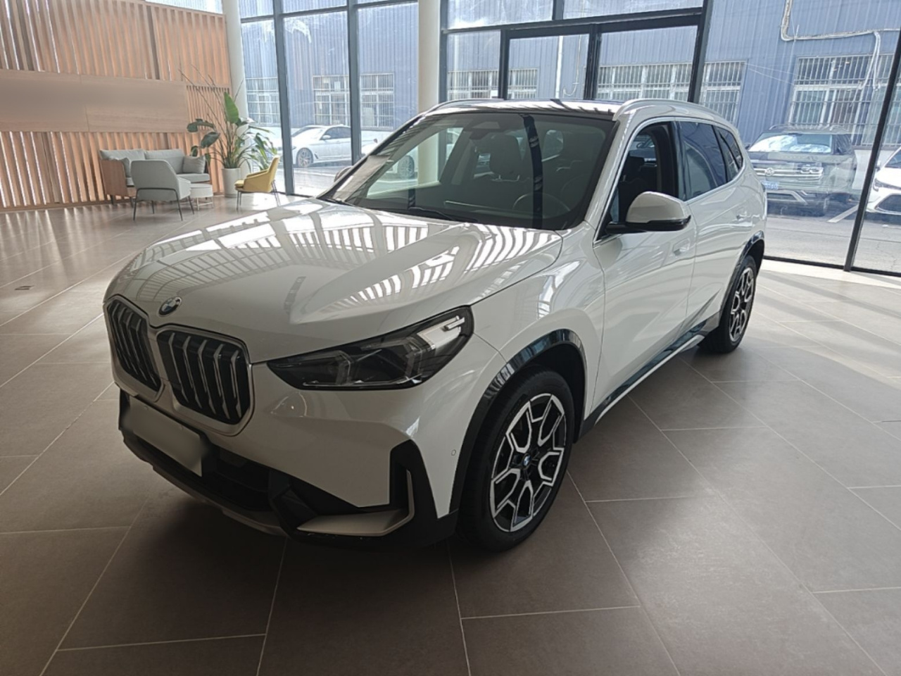 X1 2024 sDrive25Li X Design Package