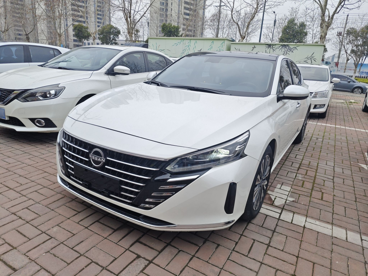 Teana 2022 2.0L XL-TLS Enjoy